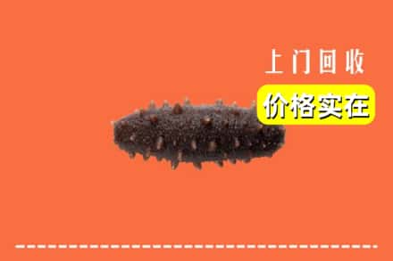 离石区回收海参